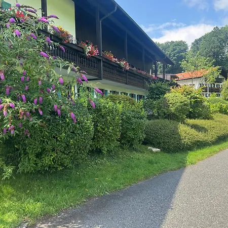 Ciao-aschau Gschwendtnerhof Ap26 Faust *