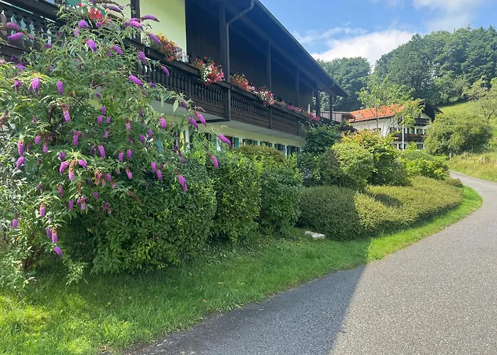 Ciao-aschau Gschwendtnerhof Ap26 Faust *